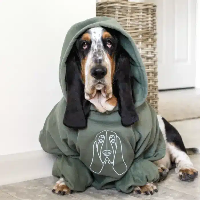 Custom Pet One-line Pattern Hoodie - Image 4